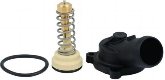TERMOSTAT SETİ KOMPLE FSI